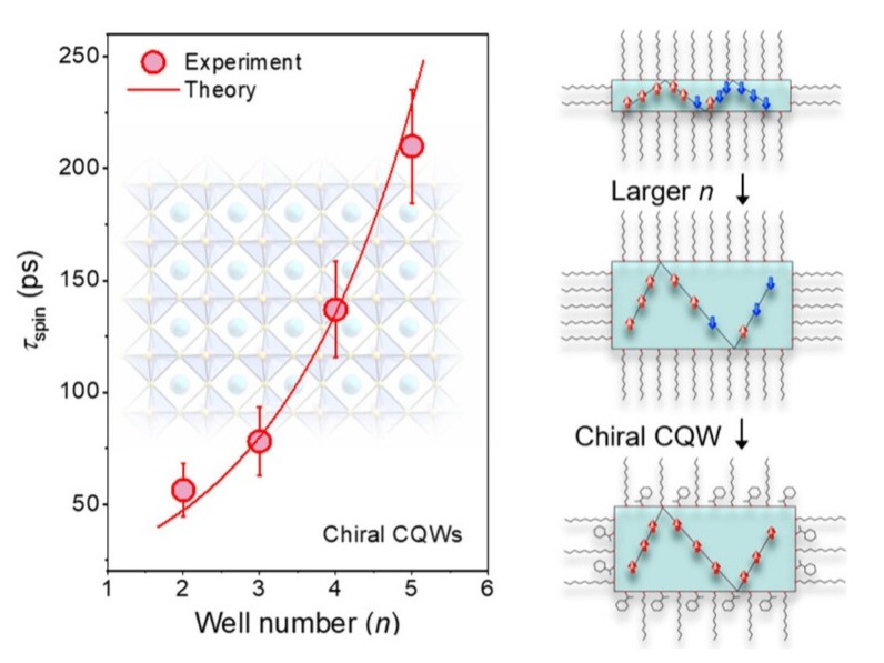 TOC image from Qi Wei's paper on long-lived spin coherence in perovsite quantum wells